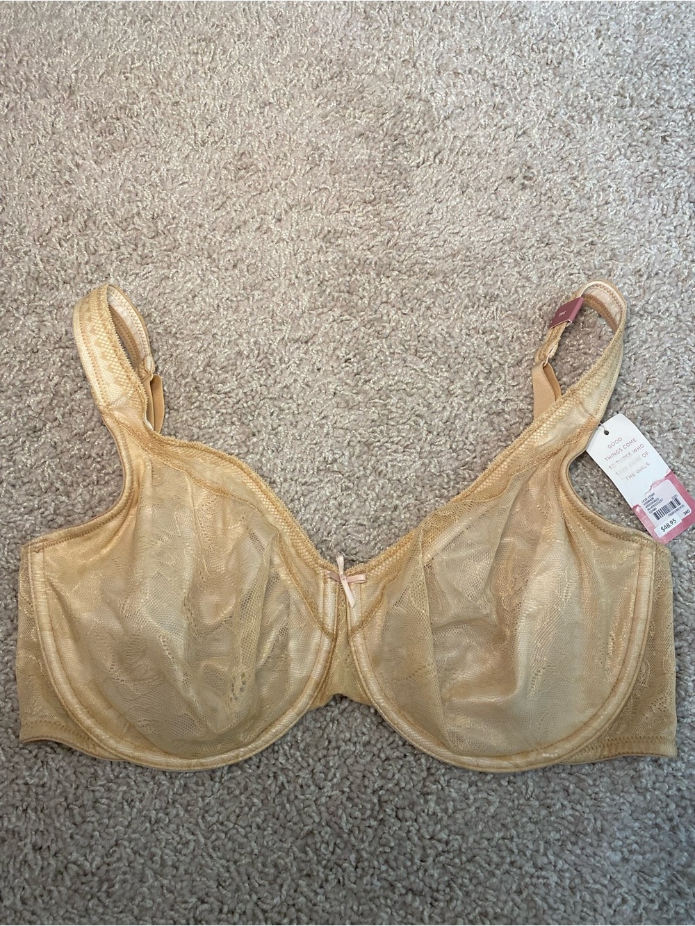 Cacique Light Beige Sheer Underwire Bra